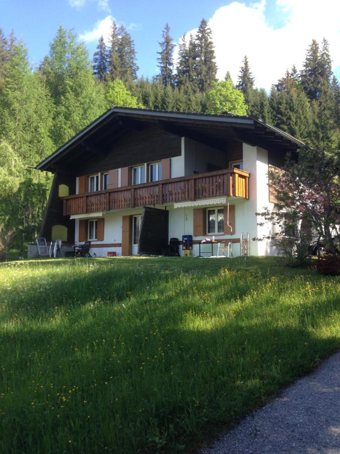 Sonnleiten - Guggerhof - Villa Sonnenwies Таннгайм Екстер'єр фото